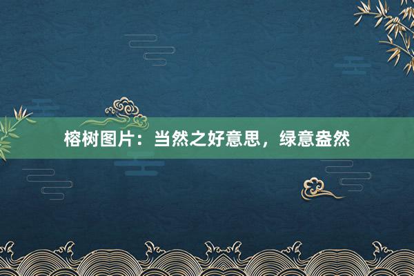 榕树图片：当然之好意思，绿意盎然
