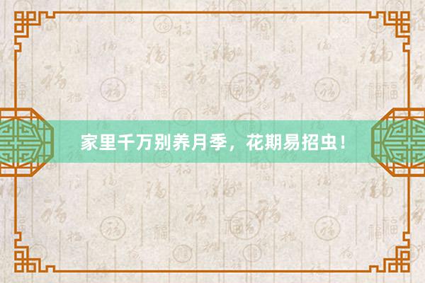 家里千万别养月季，花期易招虫！