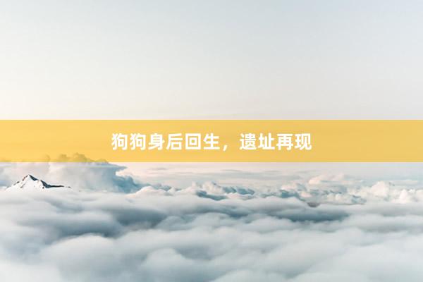 狗狗身后回生，遗址再现
