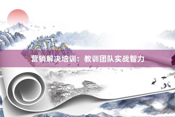 营销解决培训：教训团队实战智力